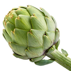 Obraz premium Fresh artichoke harvested from the garden isolated on transparent background