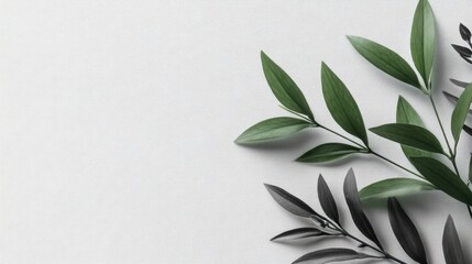 Obraz premium Fresh Green Leaves Arrangement on Soft White Background for Nature and Wellness Concept in Stock Photography