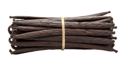 A bundle of vanilla beans tied together with twine against a black background in a studio shot