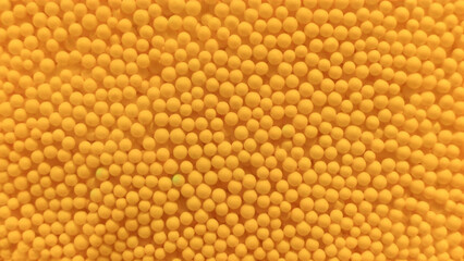 Uniform Bright Yellow Polystyrene Foam Balls Forming a Dense Abstract Background