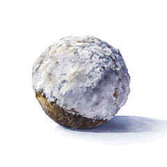 Watercolor vector illustration of Mexican Snowball, isolated on white background.