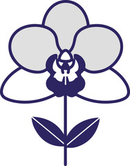 Elegant orchid flower illustration with detailed petals and stem perfect for design.