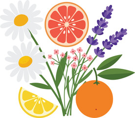 Aromatic Citrus Fruits and Flowers Composition 1.