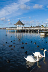 Jesień na Drwęcy w Ostr&oacute;dzie 2025