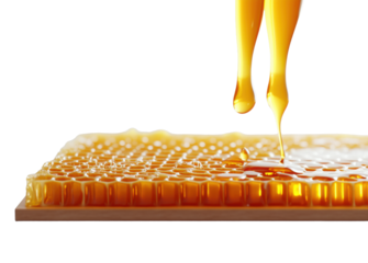 Fresh honey dripping onto honeycomb, isolated background