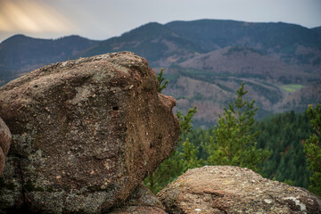 Autumn forest colorful view