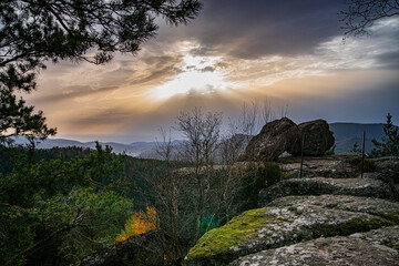 Autumn forest colorful view