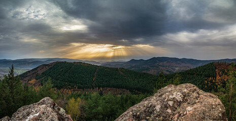 Autumn forest colorful view