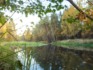 River with a tree in the background