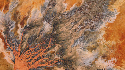 Aerial View of a Vein-like Red River Delta Landscape