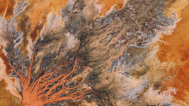 Aerial View of a Vein-like Red River Delta Landscape