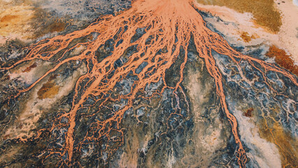 Aerial View of a Vein-like Red River Delta Landscape
