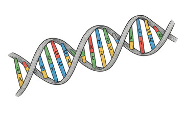 Dna double helix illustration with genetic code showing science, genetics, and biotechnology concepts