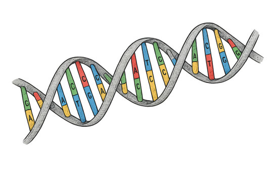 Dna double helix illustration with genetic code showing science, genetics, and biotechnology concepts
