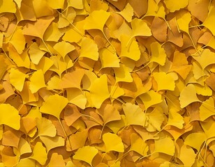 イチョウの葉を敷き詰めたテクスチャー