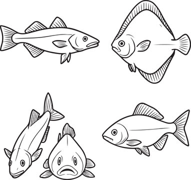 cold-water fish cod haddock halibut and arctic char ? clean SVG-ready black and white vector.eps
