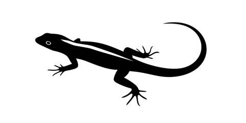 Fototapeta premium Silhouette of a lizard with a curved tail, isolated on black background Concept of wildlife, nature, and reptile