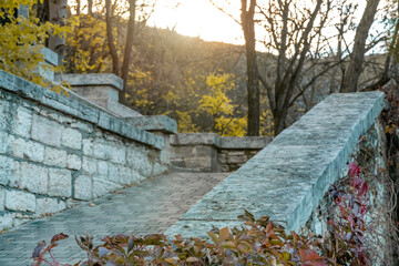 A stone wall covered with ivy and other plants. The wall is made of stone and has a rough texture. Autumn.