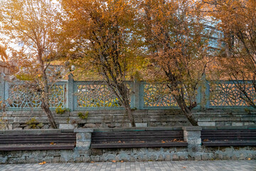 A wooden bench stands in a quiet park, surrounded by plants, trees, and fallen leaves, perfect for enjoying the fresh air and relaxing. Autumn.