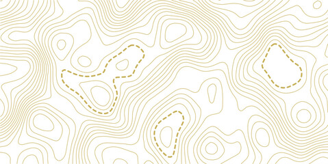 Topographic map background. Geographic line map with elevation assignments. Contour background geographic grid. Vector illustration.