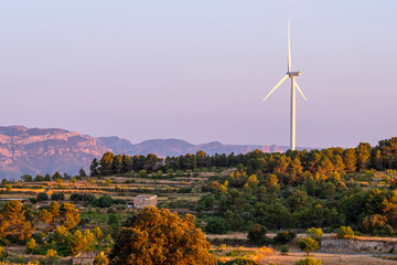 Within Terra Alta Catalonia Spain the wind turbine landscape expresses renewable energy and sustainability while rolling shapes direct attention toward the calm horizon