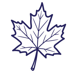 Fototapeta premium Elegant and simple vector illustration of a maple leaf isolated on a white background
