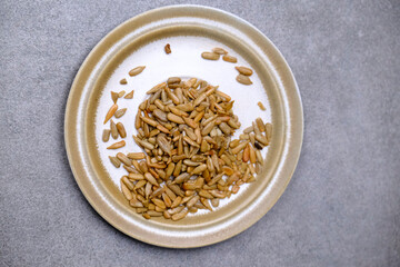 Roasted sunflower seeds on a plate