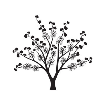 "Oklahoma's Eastern Redbud"