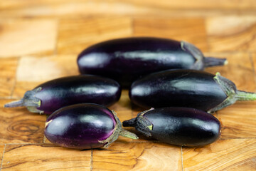 Auberginen Solanum melongena aus dem eigenen Garten