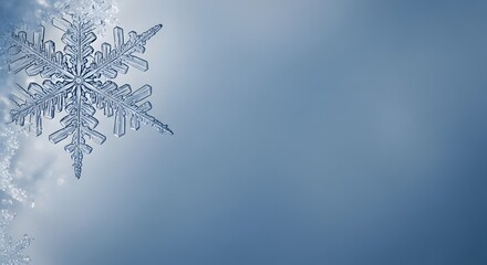 Close up of a delicate snowflake with intricate details on a soft blue background.