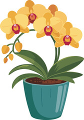 orched Flowers in a pot illustration with colorful blooming plants