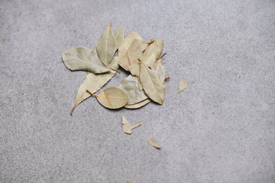 Bay leaves on a gray background. Kitchen, spices, cooking - Powered by Adobe