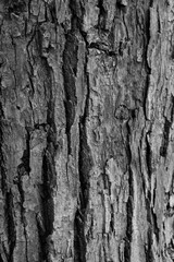 Graphic for design. wood texture, dark wooden abstract background