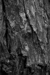 Obraz premium Graphic for design. wood texture, dark wooden abstract background