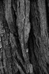 Graphic for design. wood texture, dark wooden abstract background