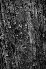 Graphic for design. wood texture, dark wooden abstract background