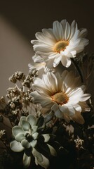 Sunlit White Daisies and Succulent Still Life Arrangement.