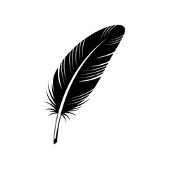 Obraz premium Black Feather Silhouette.