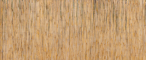 Beautiful reed wall in poster size.