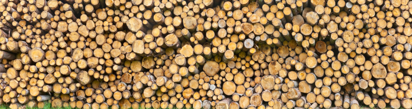 Big woodpile as close-up, texture.