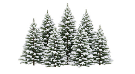 Christmas trees with snow isolated on white or transparent background