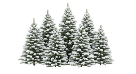 Christmas trees with snow isolated on white or transparent background