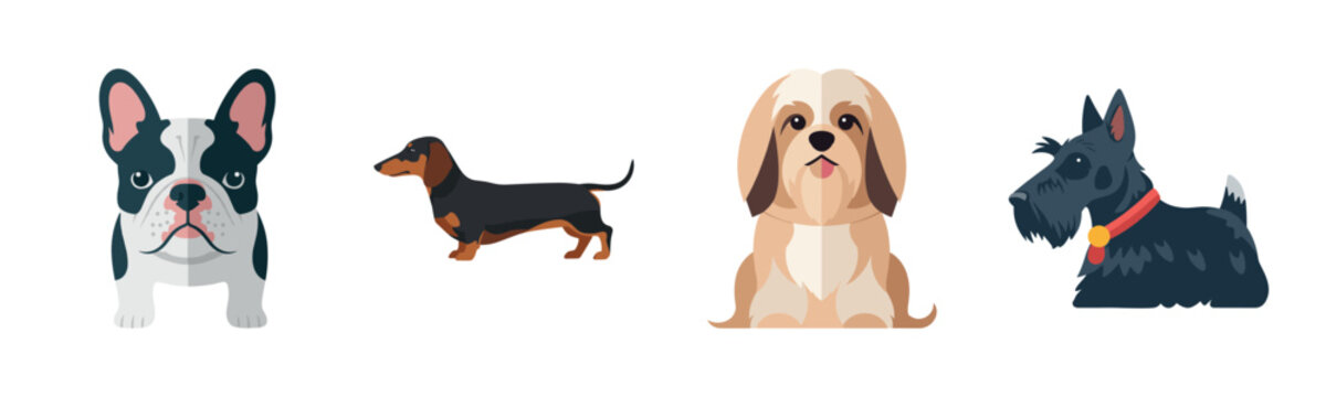 Cartoon illustrations of diverse dog breeds: french bulldog, dachshund, shih tzu, scottish terrier