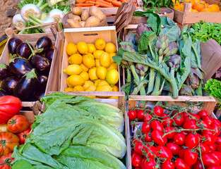 display of colorful vegetable boxes at the market