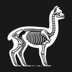 Obraz premium Llama skeleton anatomical illustration on a dark background.