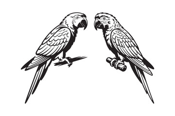 Two macaw parrots perched on branches in a vintage illustration style © Roney