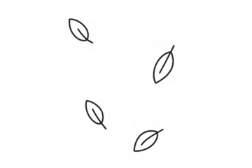 Minimalist line art leaves falling, an outline illustration creating a simple nature background on transparent