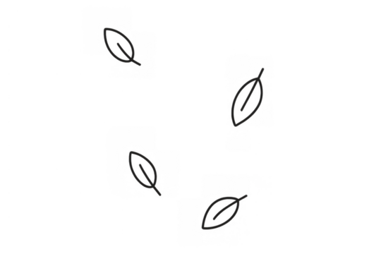 Minimalist line art leaves falling, an outline illustration creating a simple nature background on transparent