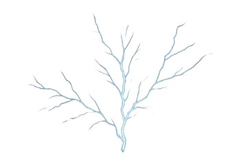 Obraz premium Electric blue lightning bolt striking, dynamic storm energy and electricity, power weather effect on transparent background