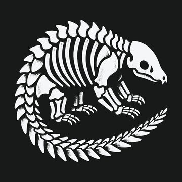 Stylized white pangolin skeleton illustration on a black background.